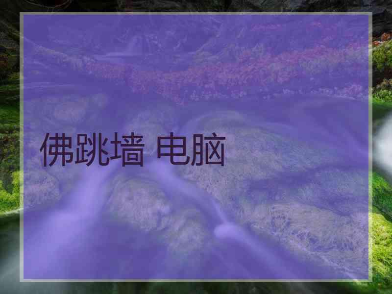 佛跳墙 电脑