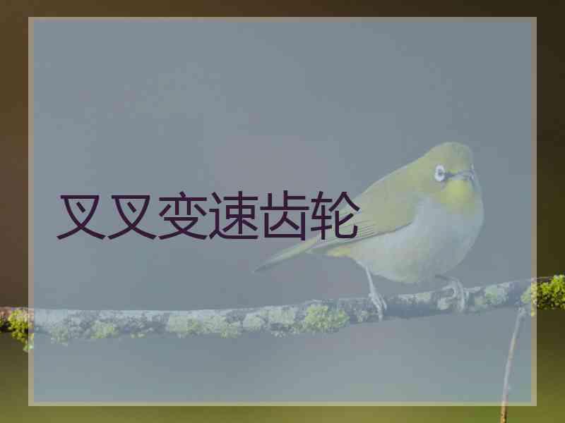 叉叉变速齿轮
