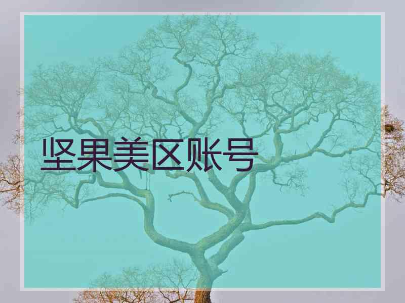 坚果美区账号