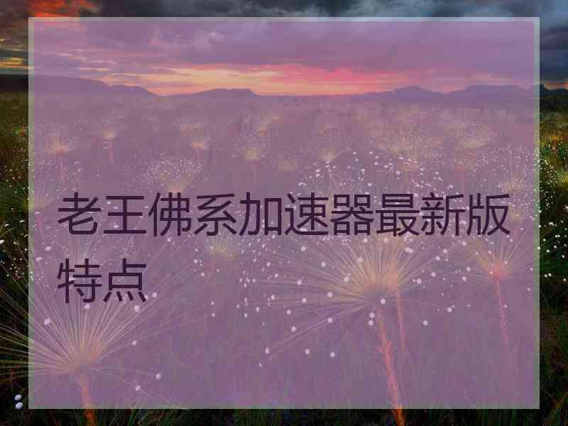 老王佛系加速器最新版特点
