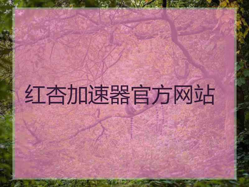 红杏加速器官方网站