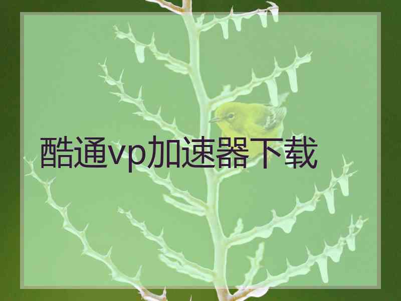 酷通vp加速器下载