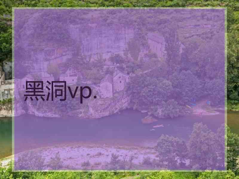 黑洞vp.