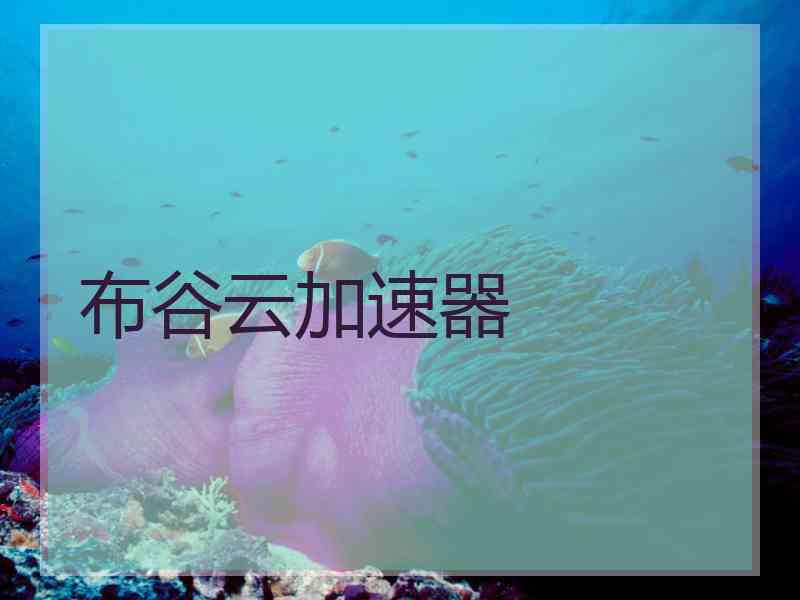 布谷云加速器