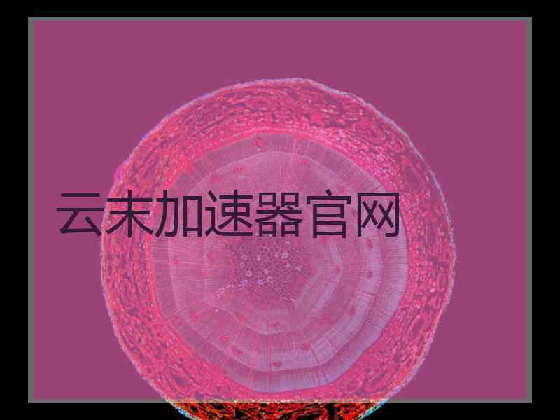 云末加速器官网
