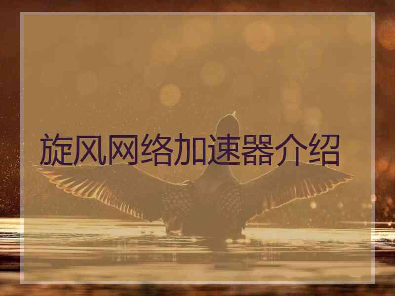旋风网络加速器介绍