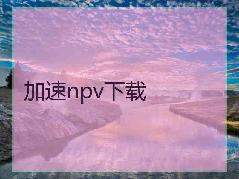 加速npv下载