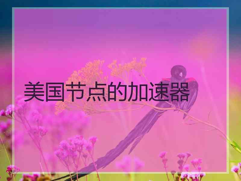 美国节点的加速器