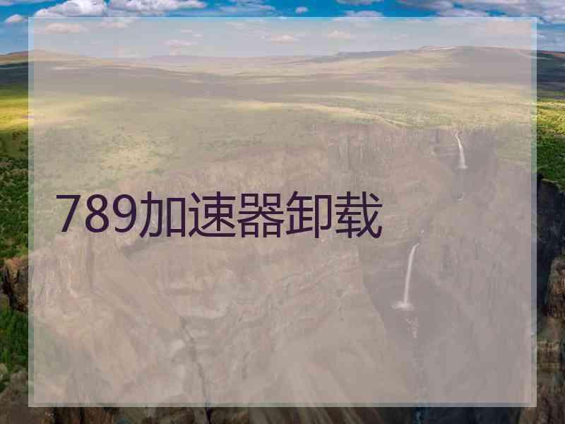 789加速器卸载