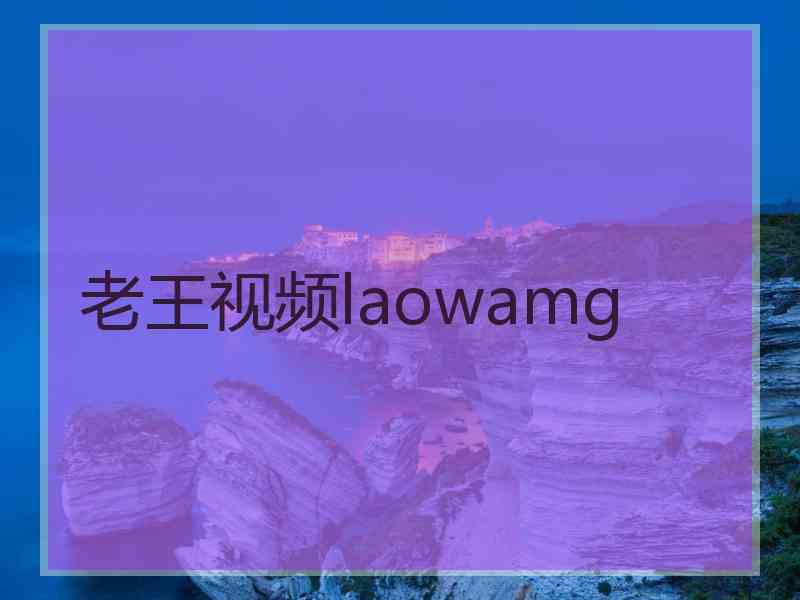 老王视频laowamg