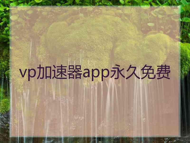 vp加速器app永久免费