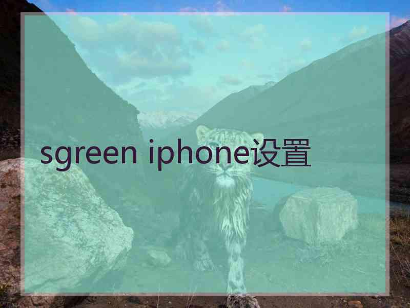 sgreen iphone设置
