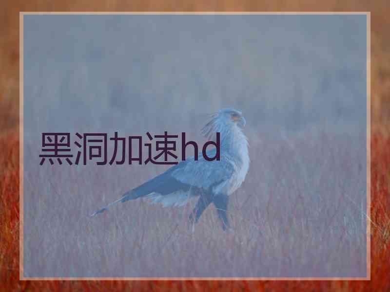 黑洞加速hd