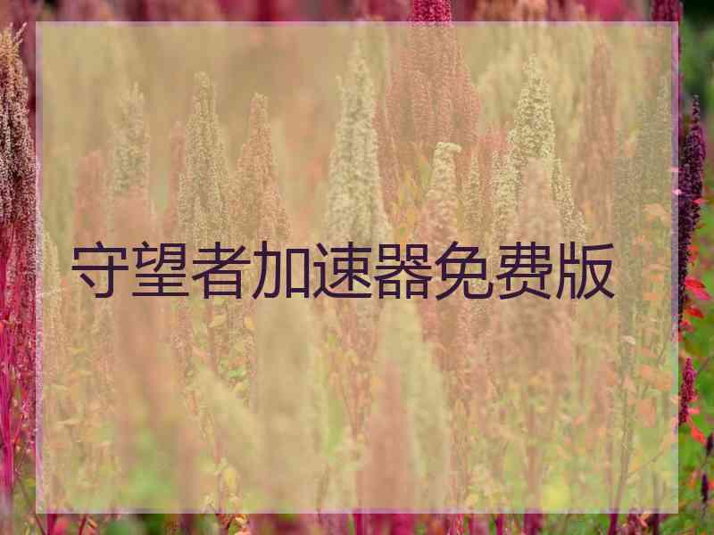 守望者加速器免费版