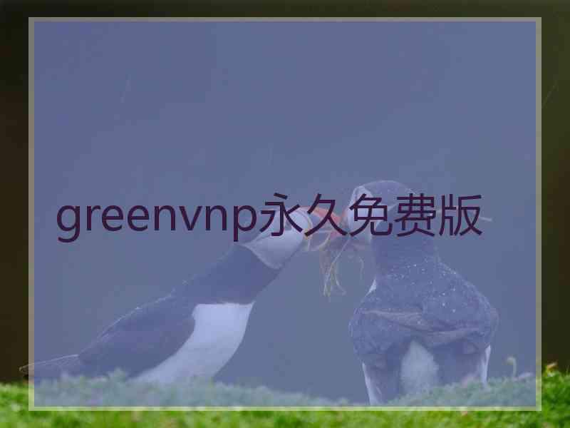 greenvnp永久免费版