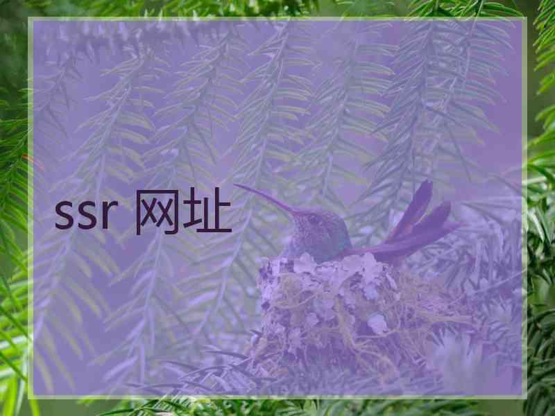 ssr 网址