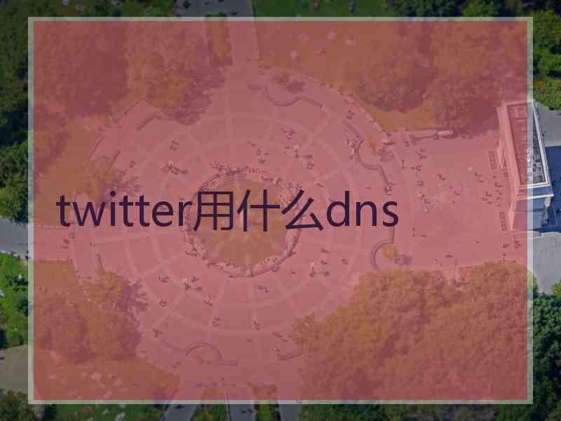 twitter用什么dns