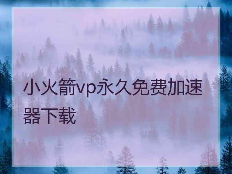小火箭vp永久免费加速器下载