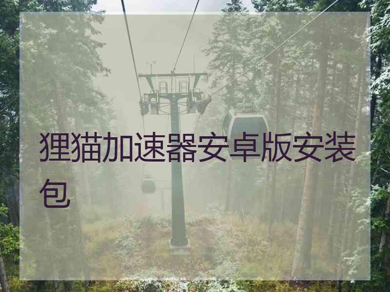 狸猫加速器安卓版安装包