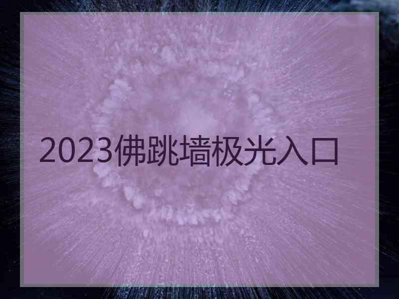 2023佛跳墙极光入口