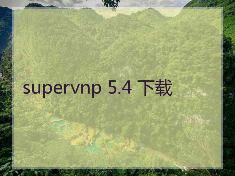 supervnp 5.4 下载
