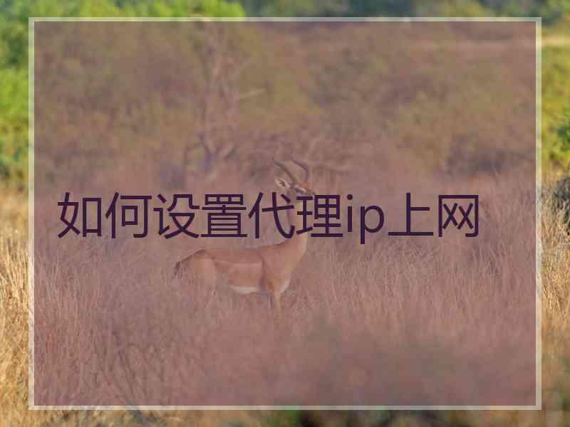 如何设置代理ip上网