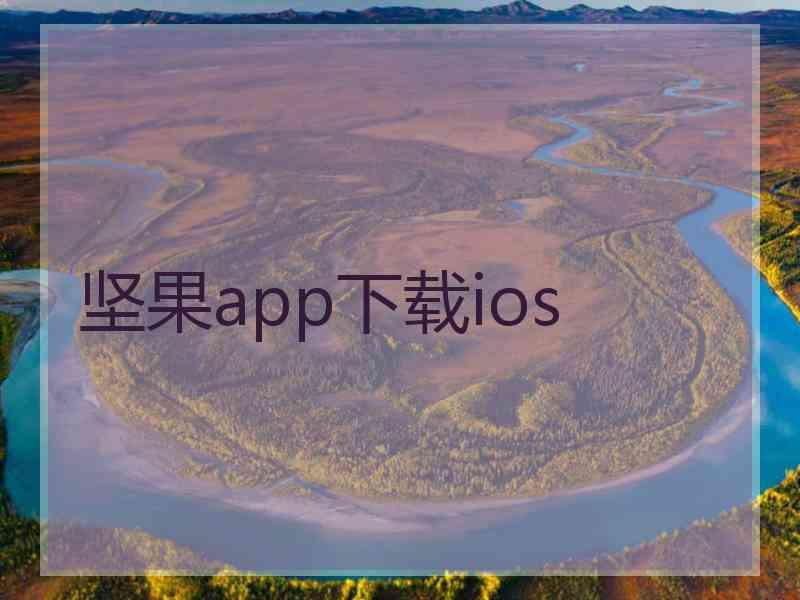 坚果app下载ios