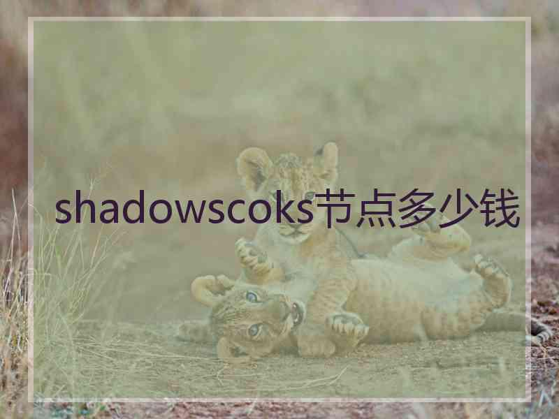 shadowscoks节点多少钱
