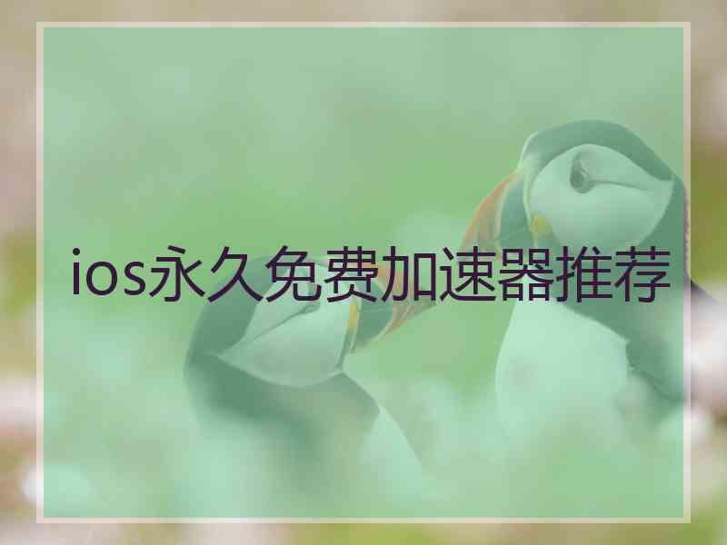 ios永久免费加速器推荐