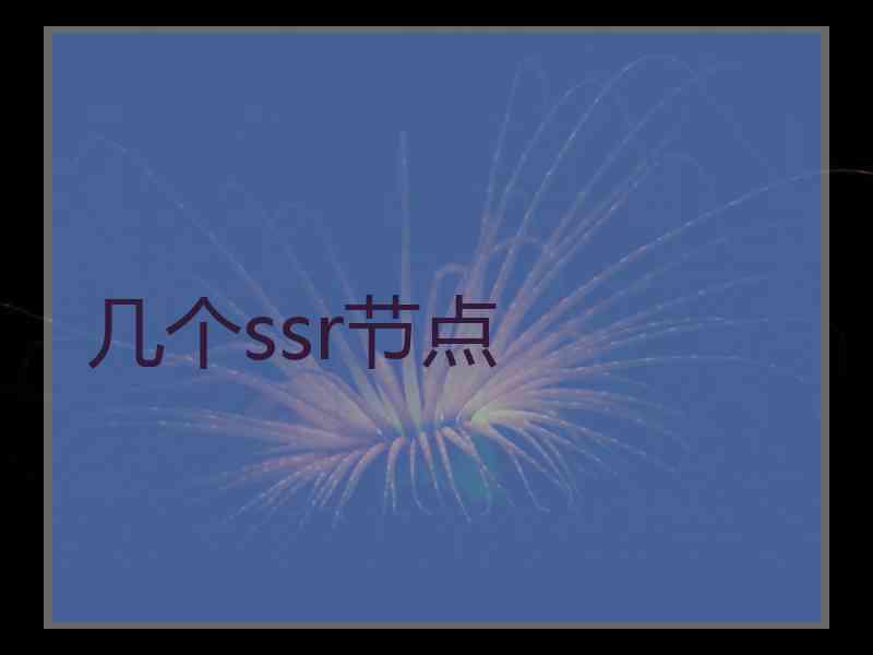 几个ssr节点