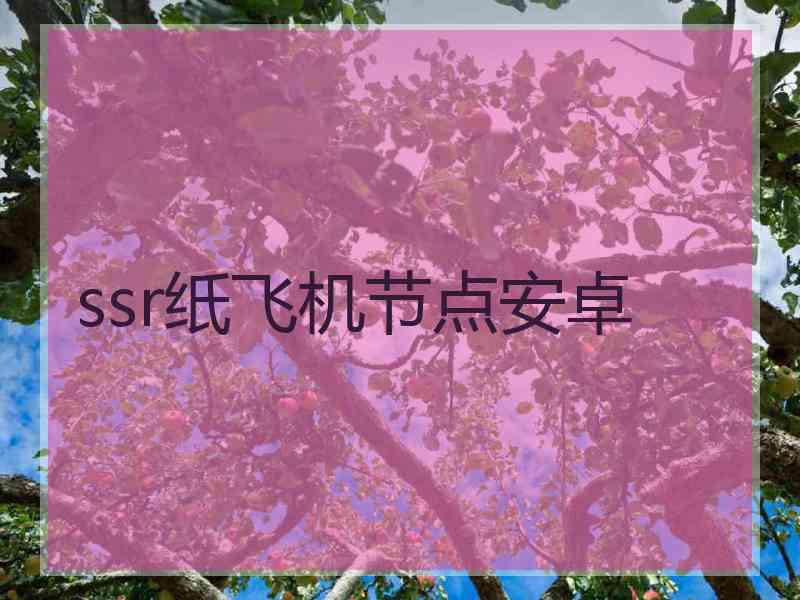 ssr纸飞机节点安卓