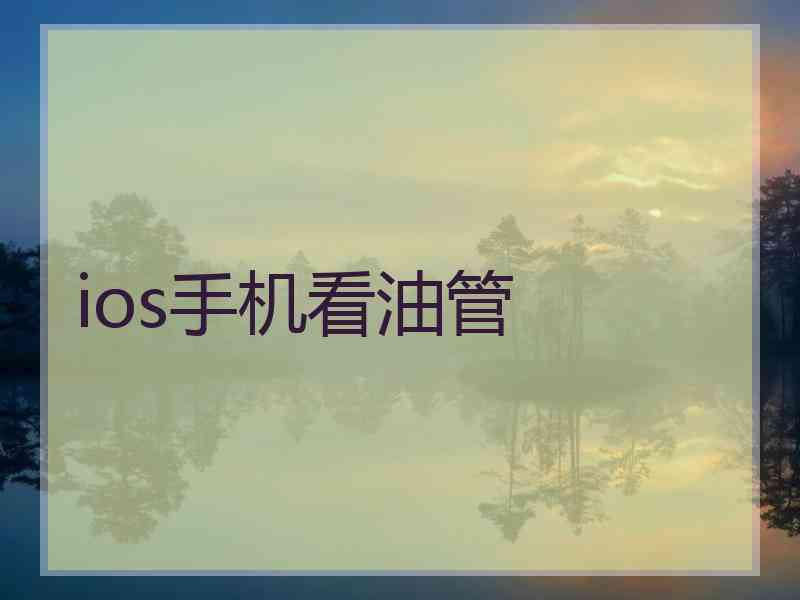 ios手机看油管