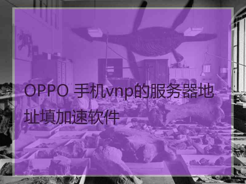 OPPO 手机vnp的服务器地址填加速软件