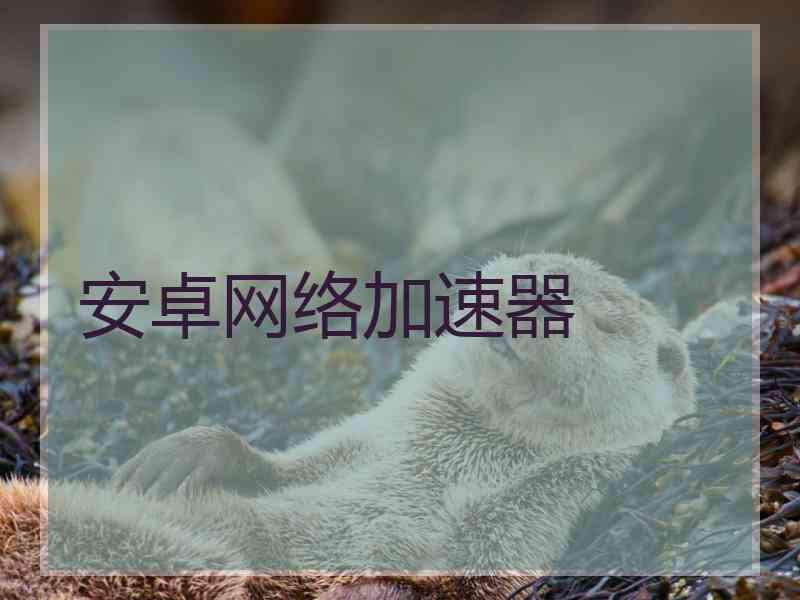 安卓网络加速器