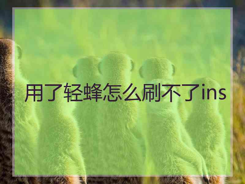 用了轻蜂怎么刷不了ins