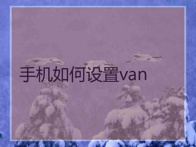 手机如何设置van