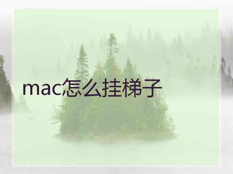 mac怎么挂梯子