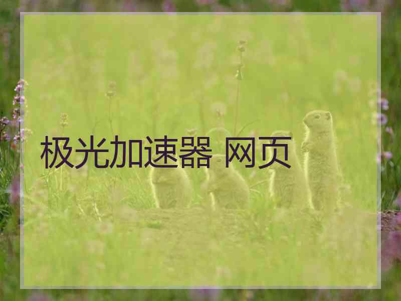极光加速器 网页