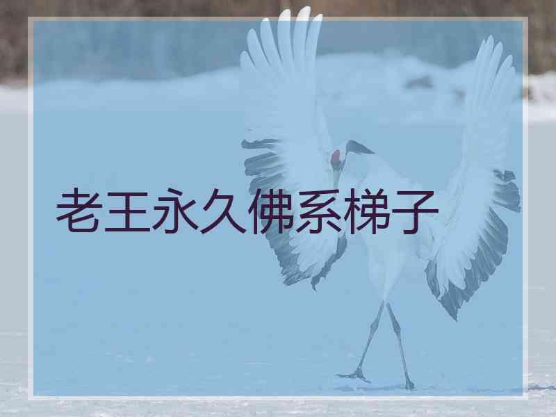 老王永久佛系梯子