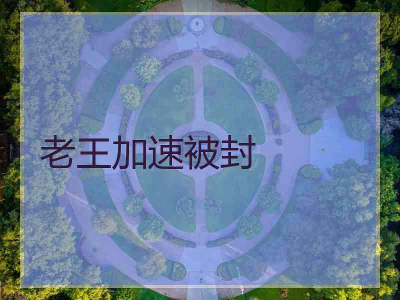 老王加速被封
