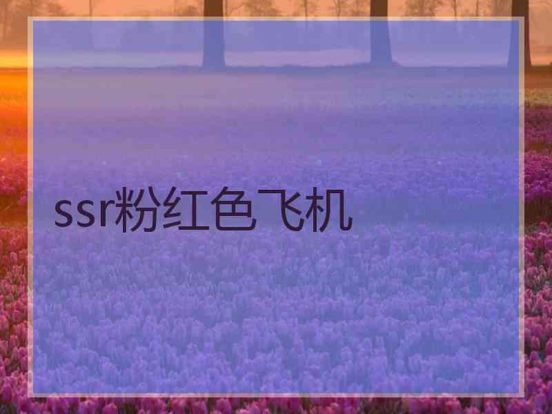 ssr粉红色飞机