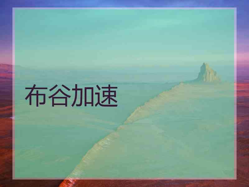 布谷加速