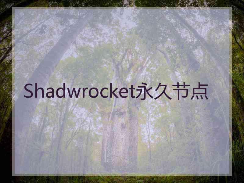 Shadwrocket永久节点