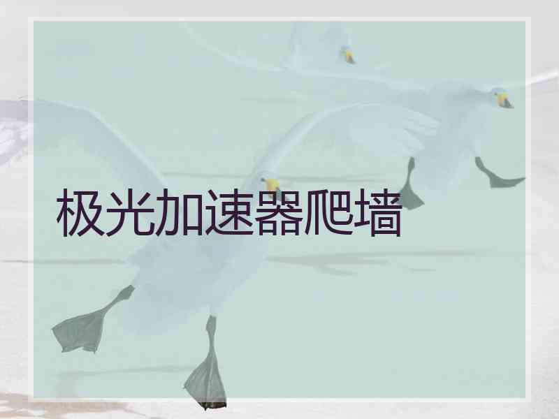 极光加速器爬墙