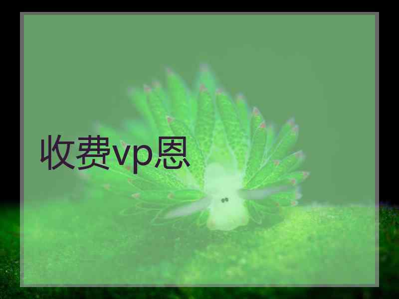 收费vp恩