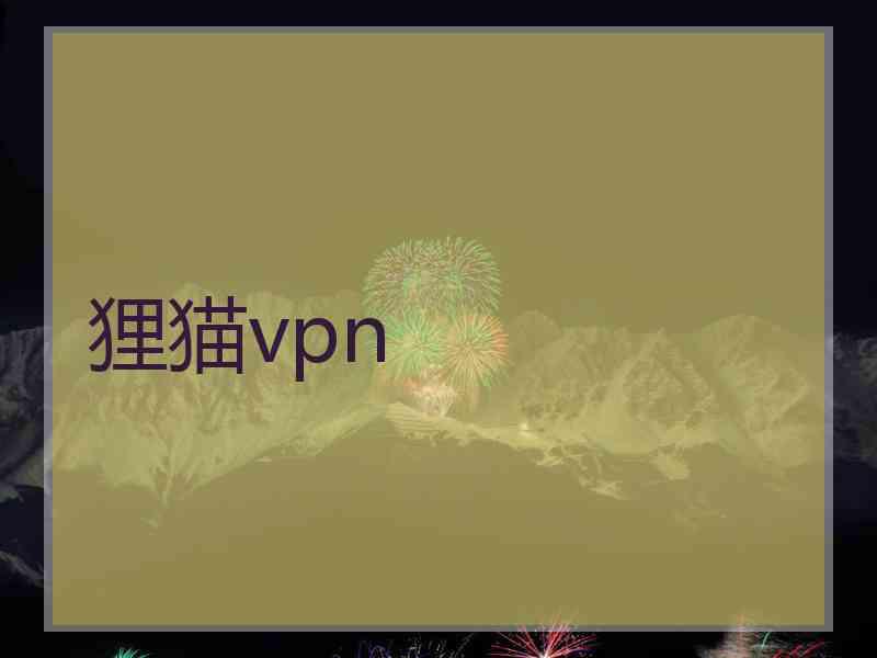 狸猫vpn