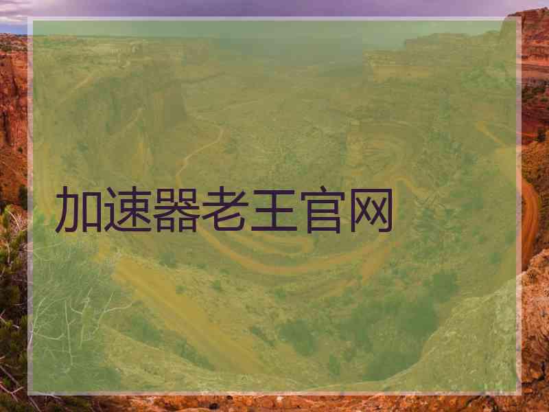 加速器老王官网
