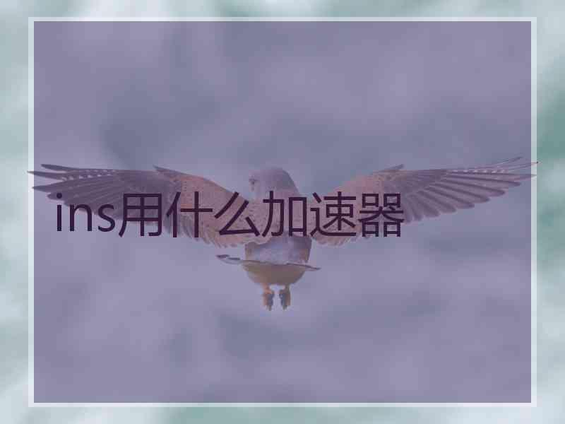 ins用什么加速器
