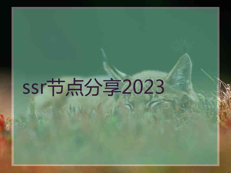 ssr节点分享2023