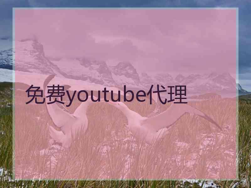 免费youtube代理